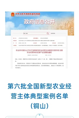 江蘇省徐州市銅山區關工委: 120余名“老科技工作者”助力全區新型家庭農場發展壯大