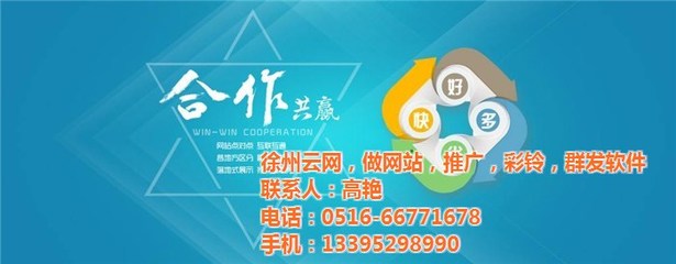 徐州專業(yè)做網站的公司|徐州云網(在線咨詢)|網站建設