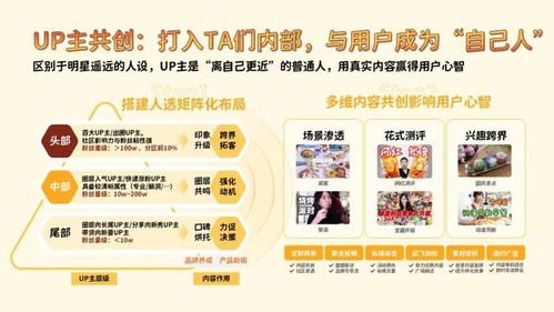 嗶哩嗶哩b站食品飲料行業廣告投放營銷推廣策略分析