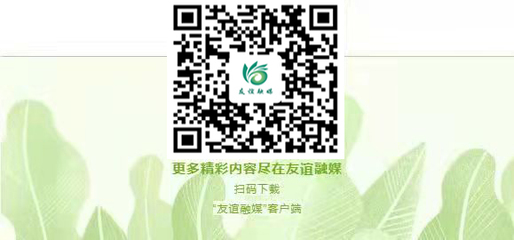 友誼縣人民政府門戶網站