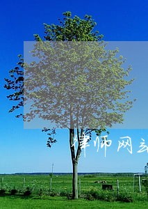 律師網站建設推廣承諾守信-律師廣告平臺(9日推薦)
